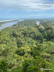 Sendero Cerro Tortuguero