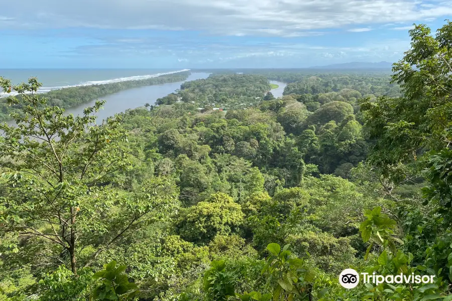 Sendero Cerro Tortuguero