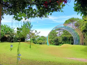 艾頓國家森林公園