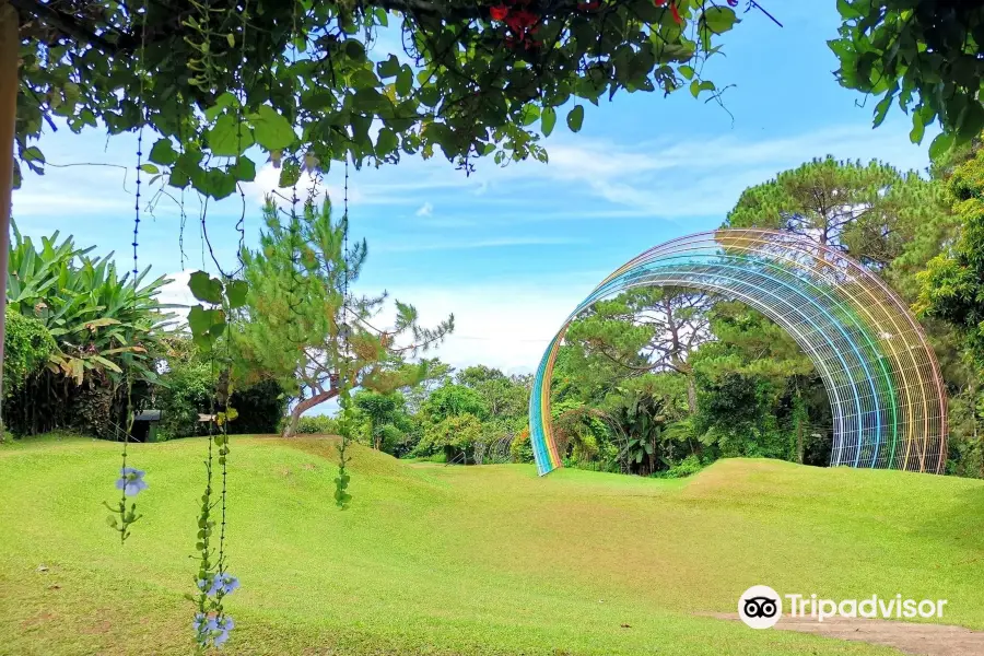 艾頓國家森林公園