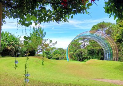 艾頓國家森林公園