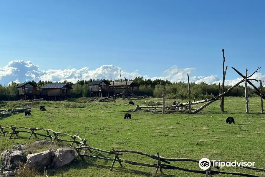 Parc Animalier de Sainte-Croix