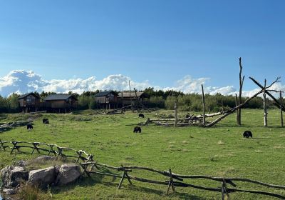 Parc Animalier de Sainte-Croix