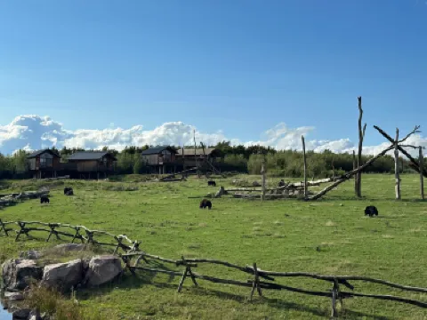 โมเซลล์