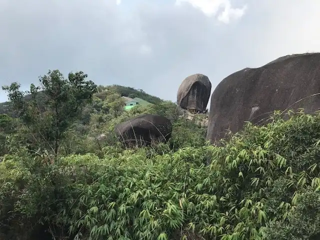 Pluang 호텔