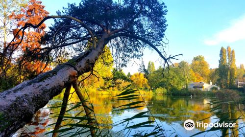 Le Pavillon Chinois