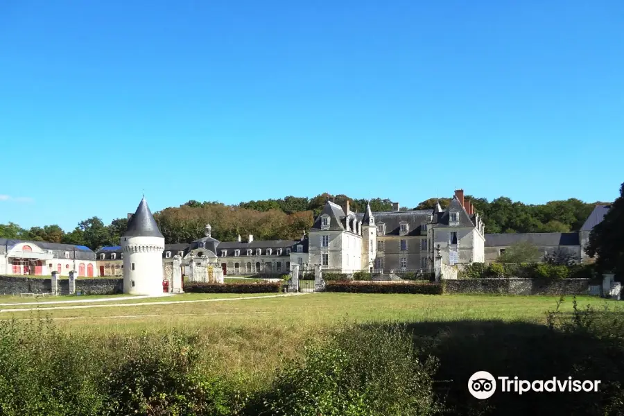 Chateau de Gizeux