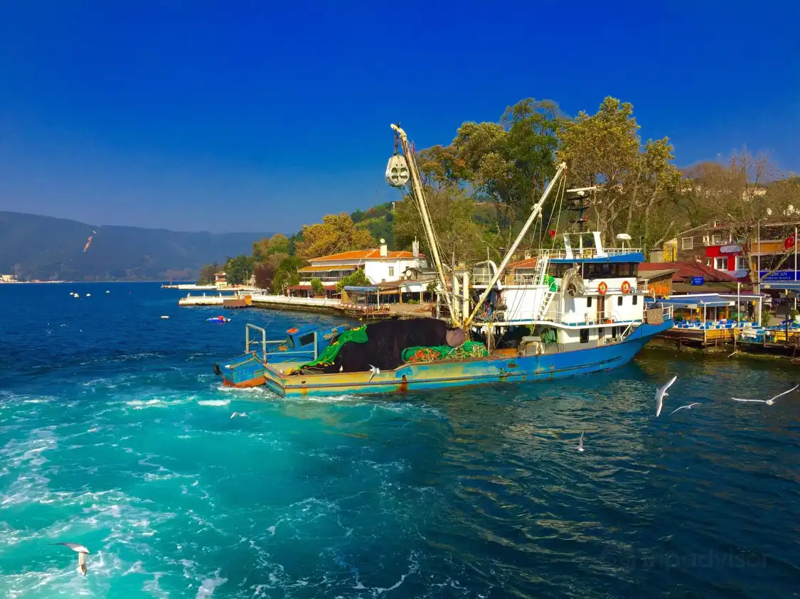 Hotel in zona Anadolu Kavagi