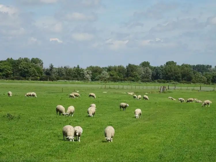 Hotels in Lutjebroek