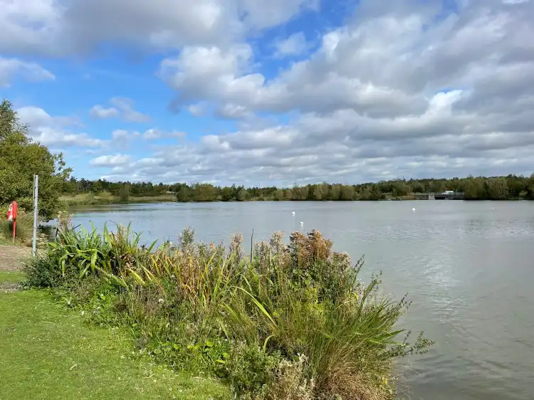 Staveley
