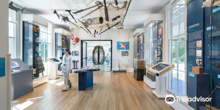 Martha's Vineyard Museum