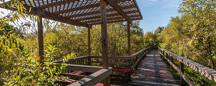Trout Lake Nature Center