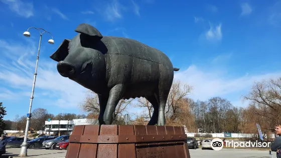 Sculpture Bronze Pig