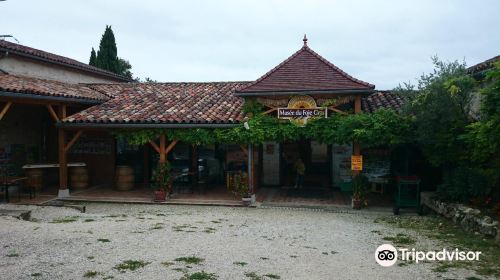 Musée du Foie Gras