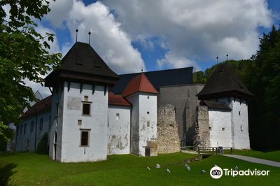 Žiče Charterhouse