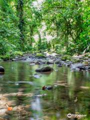 Parque Braulio Carrillo Colina