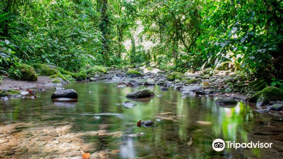 Parque Nacional Braulio Carrillo