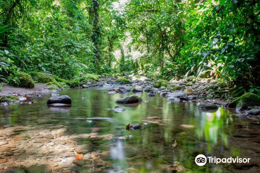 Parc National Braulio Carrillo