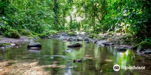 布勞利奧卡裡約國家公園