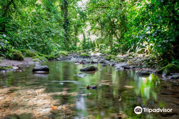 Parque Nacional Braulio Carrillo