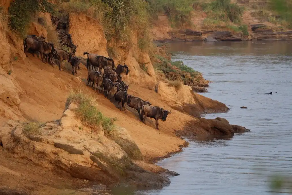 Hotels near Mara Triangle