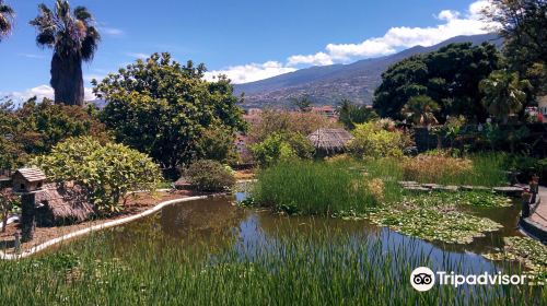 Risco Bello Aquatic Gardens