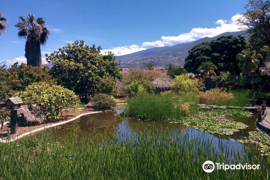 Risco Bello Aquatic Gardens