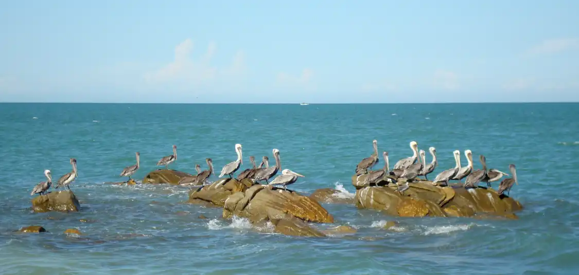 Hotels near South Beach