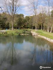 Limestone Springs Fishing Preserve