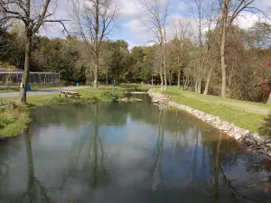 Limestone Springs Fishing Preserve