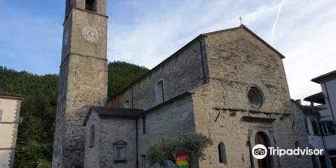 Basilica di Santa Maria Assunta di Bagno di Romagna