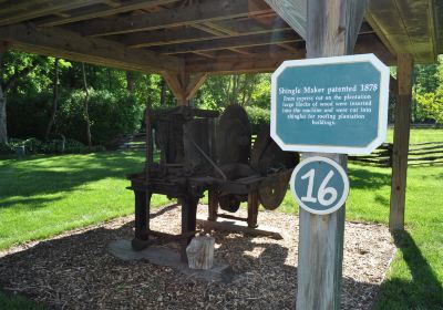 Sherwood Forest Plantation