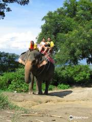 Camp Chang Kalim - elephant camp