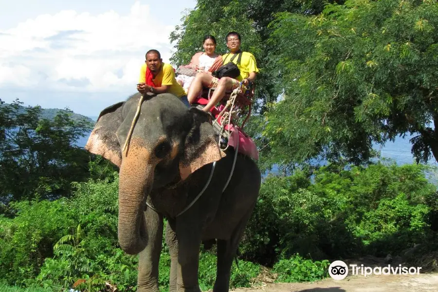 Camp Chang Kalim - elephant camp