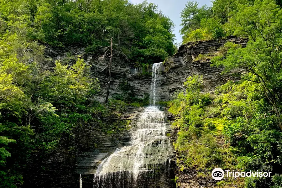 Aunt Sarahs Falls