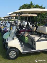 Community Golf Carts