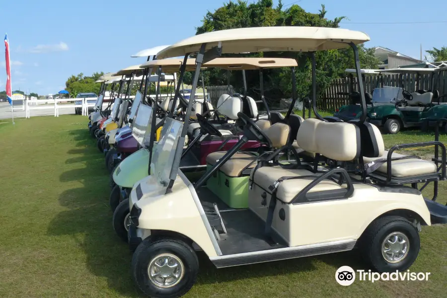 Community Golf Carts