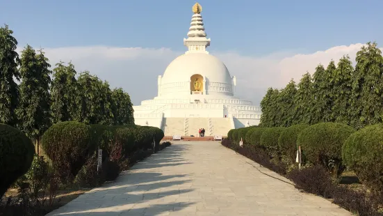 World Peace Pagoda