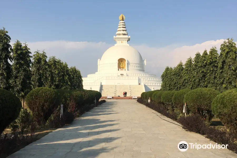 World Peace Pagoda