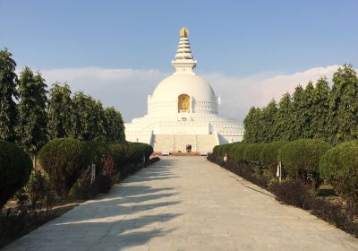 World Peace Pagoda