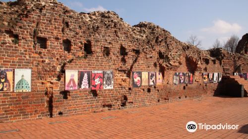 Teutonic Castle ruins