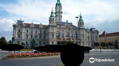 Győr Town Hall