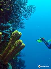 Barbados Blue Water Sports