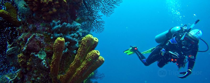 Barbados Blue Water Sports