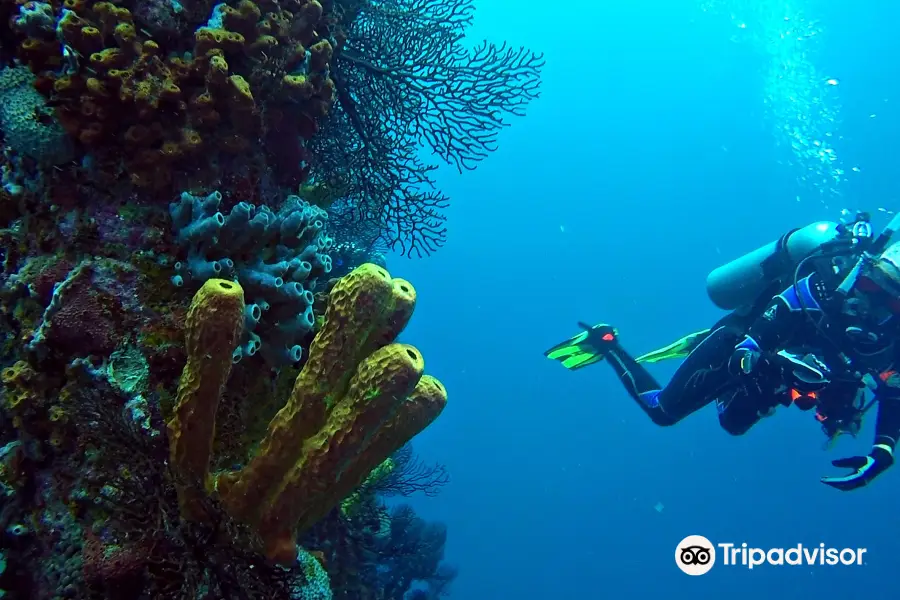 Barbados Blue Water Sports