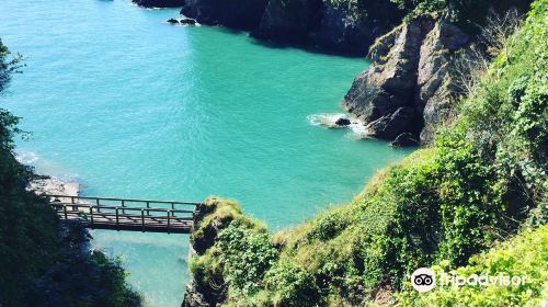 Dartmouth Castle