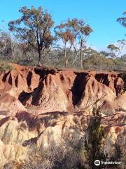 Pink Cliffs Geological Reserve