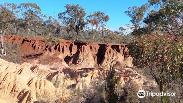 Pink Cliffs Geological Reserve Car Park