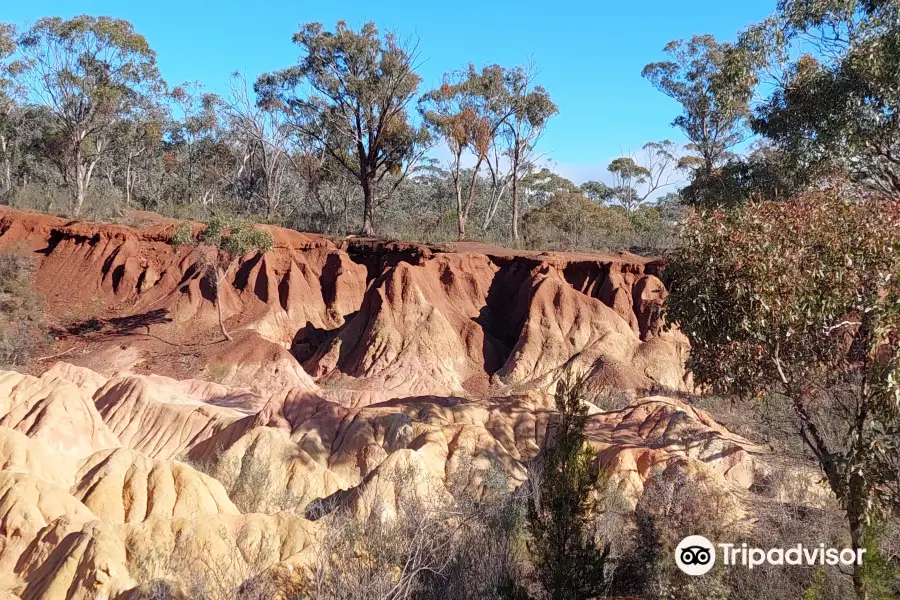 Pink Cliffs Geological Reserve