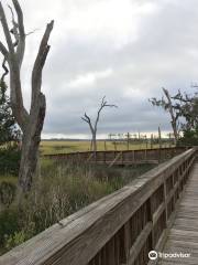 Cradle Creek Preserve